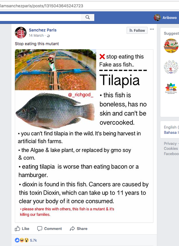 [HOAX] “Tilapia Mutant Fish” | “Nila Ikan Mutan”