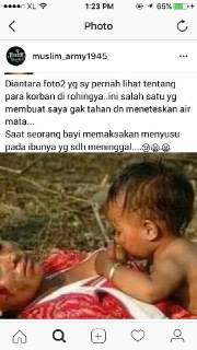(HOAX) Balita Rohingya Menyusu Pada Jasad Ibunya